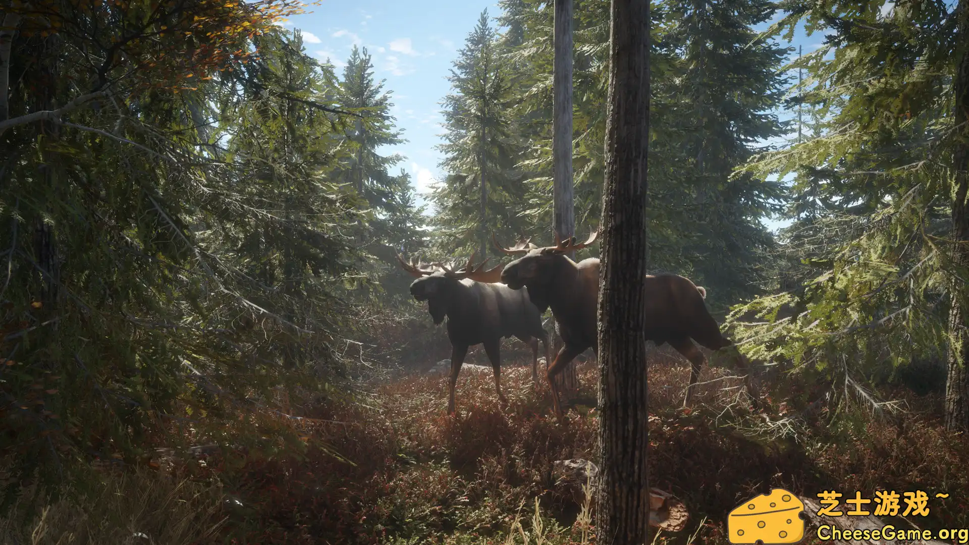 图片[1] [PC]猎人：荒野的召唤/theHunter: Call of the Wild/支持网络联机 | 游戏截图-CheeseGame-芝士游戏