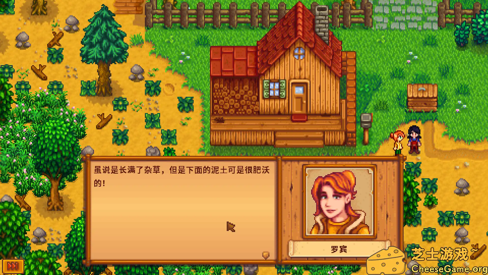 图片[5] [PC]星露谷物语/Stardew Valley/支持网络联机 | 游戏截图-CheeseGame-芝士游戏