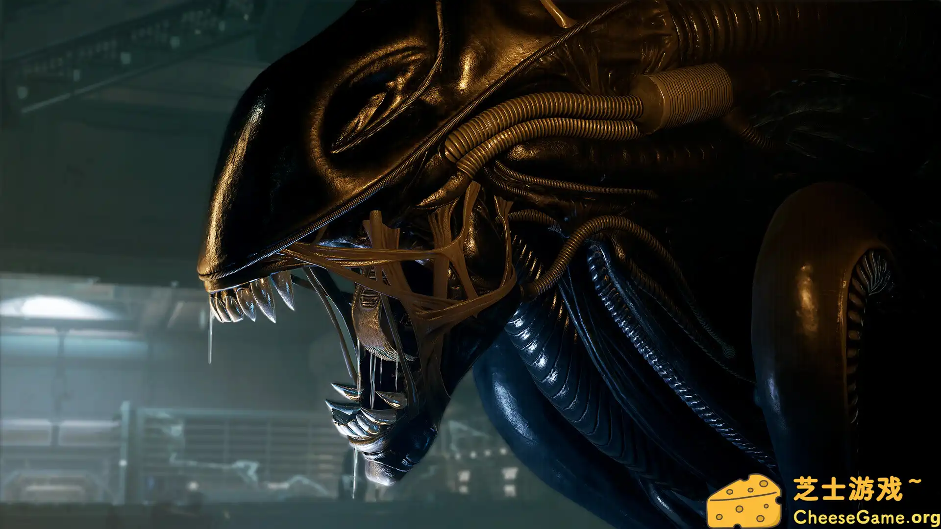 [PC]异形：侠盗入侵/Alien: Rogue Incursion/支持VR