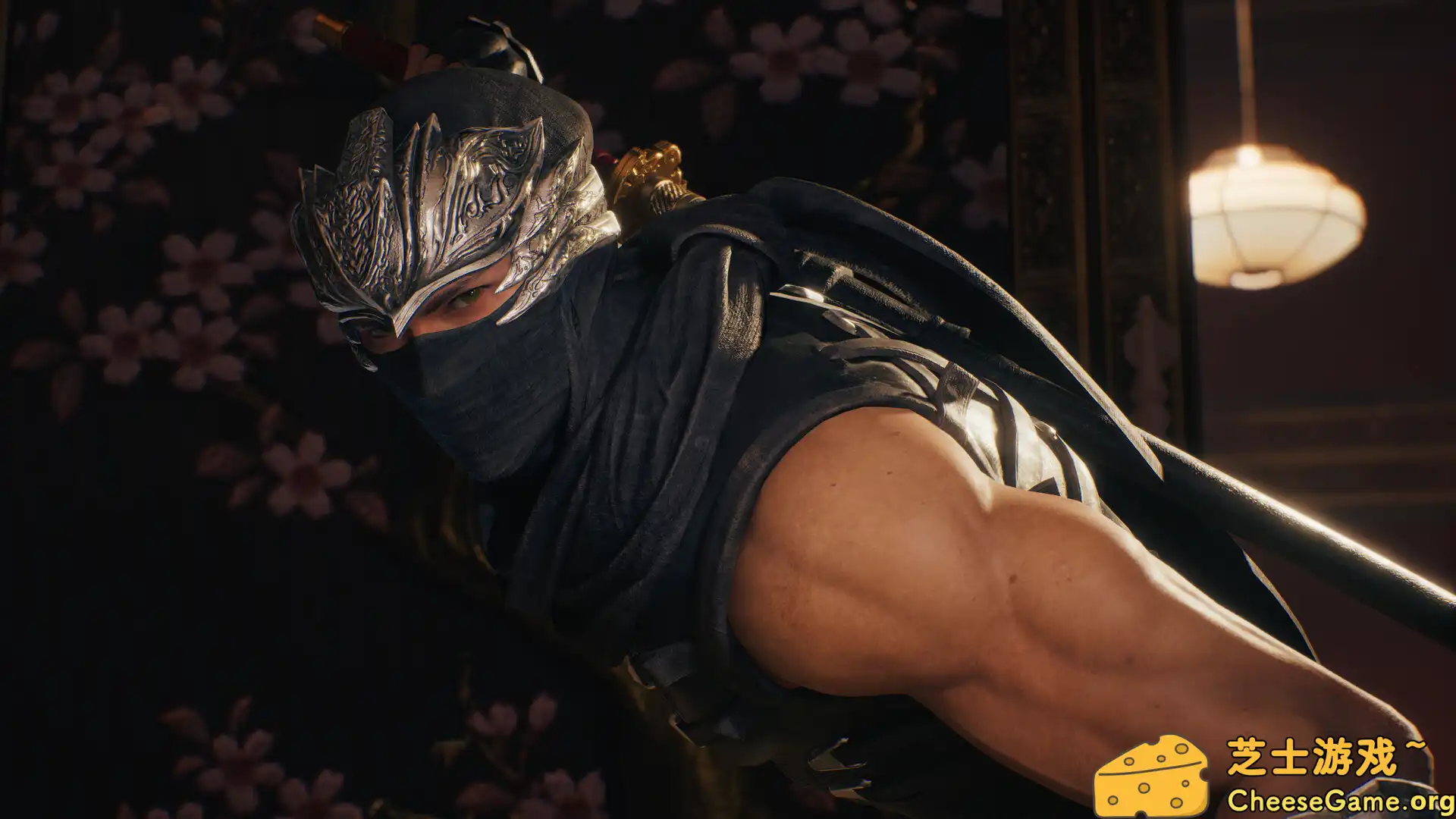 图片[4] [PC]忍者龙剑传2：黑之章/NINJA GAIDEN 2 Black | 游戏截图