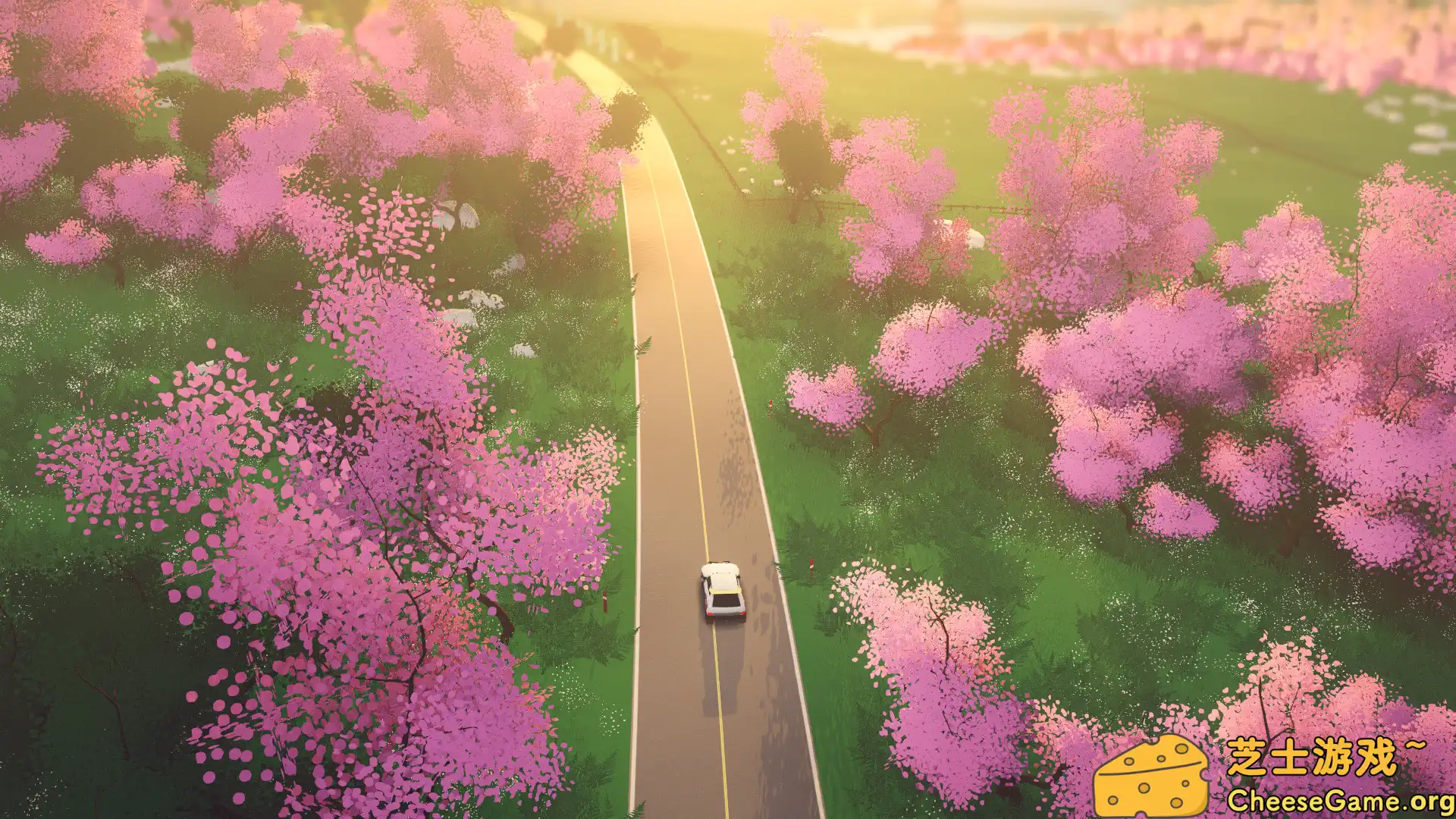 [PC]拉力赛艺术/art of rally