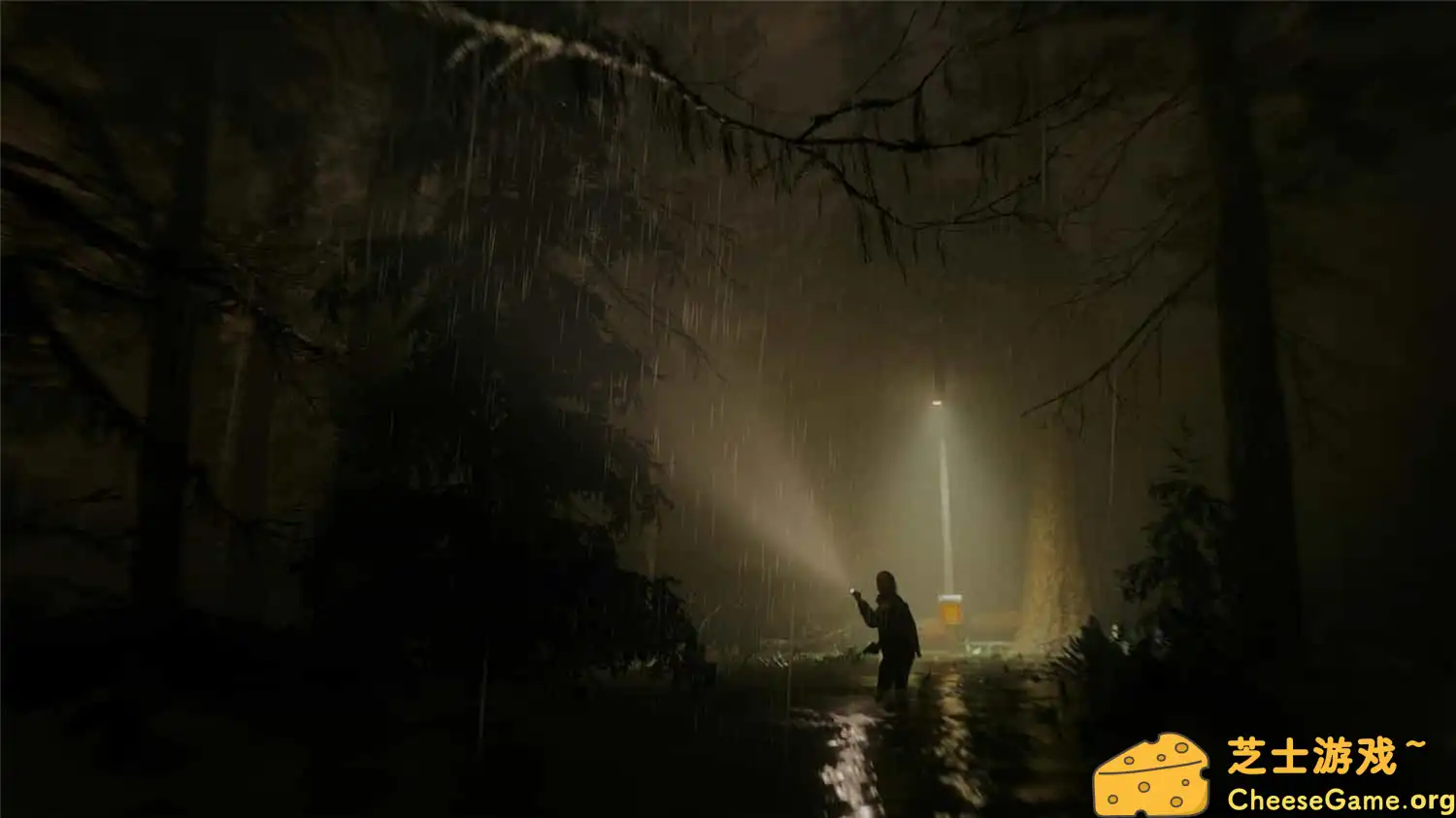 [PC]心灵杀手2/Alan Wake 2