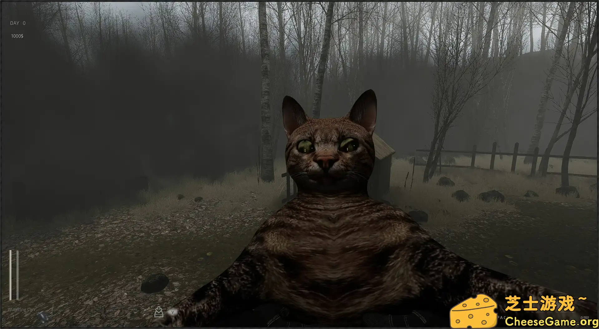 [PC]森林之下/Descending The Woods/支持网络联机