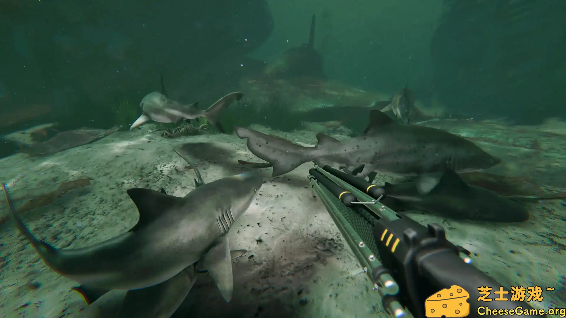 [PC]死在水中2/Death in the Water 2