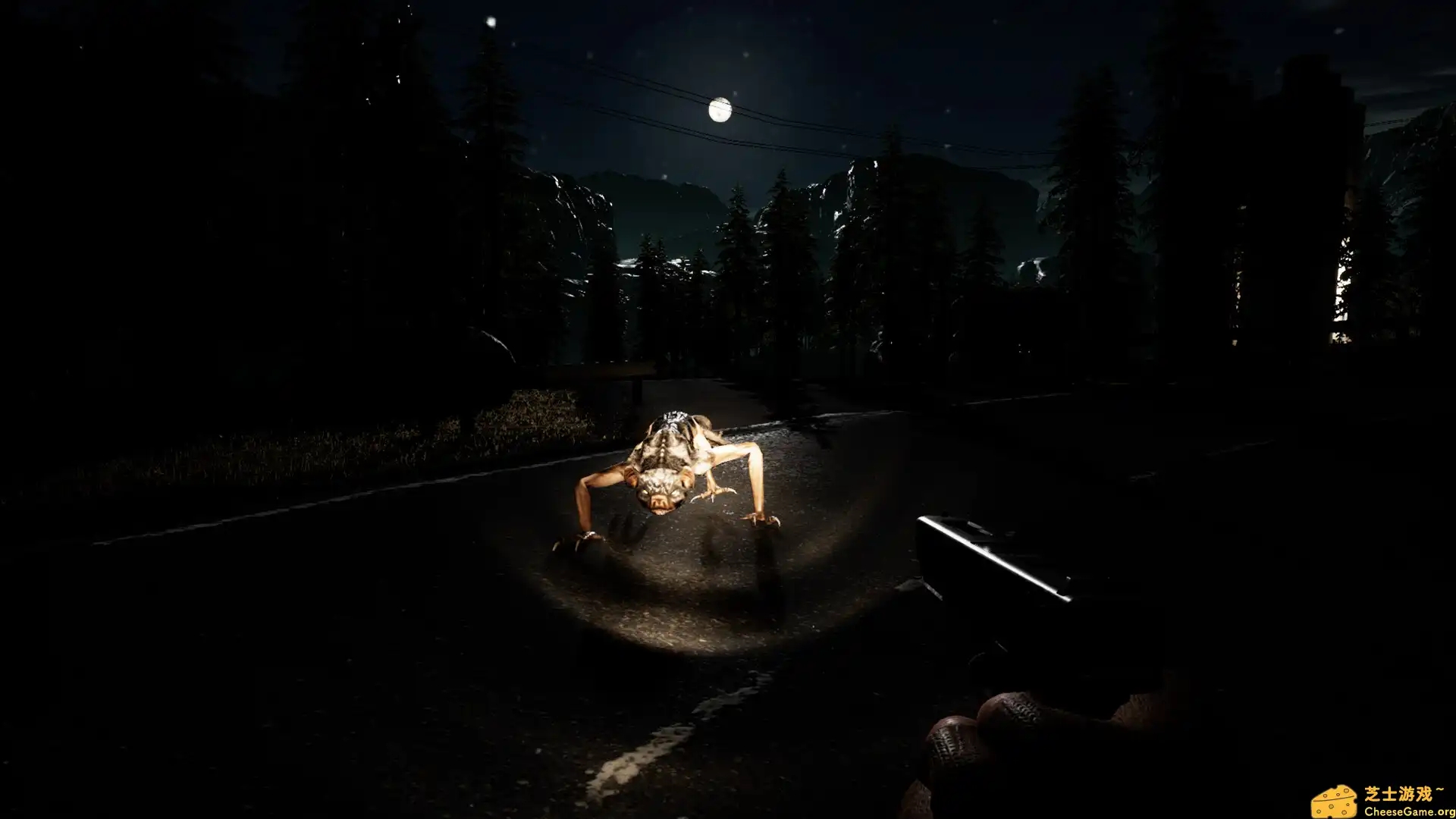 [PC]无政府状态： 沃尔夫定律/Anarchy: Wolf's law