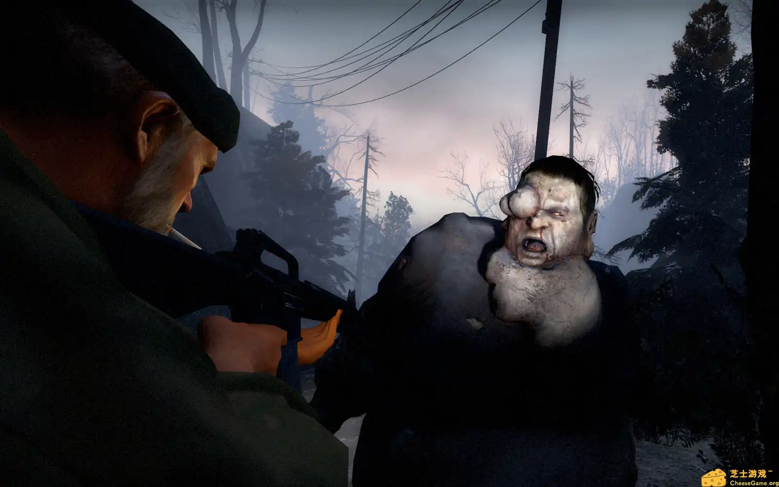 [PC]求生之路/生存之旅/Left 4 Dead