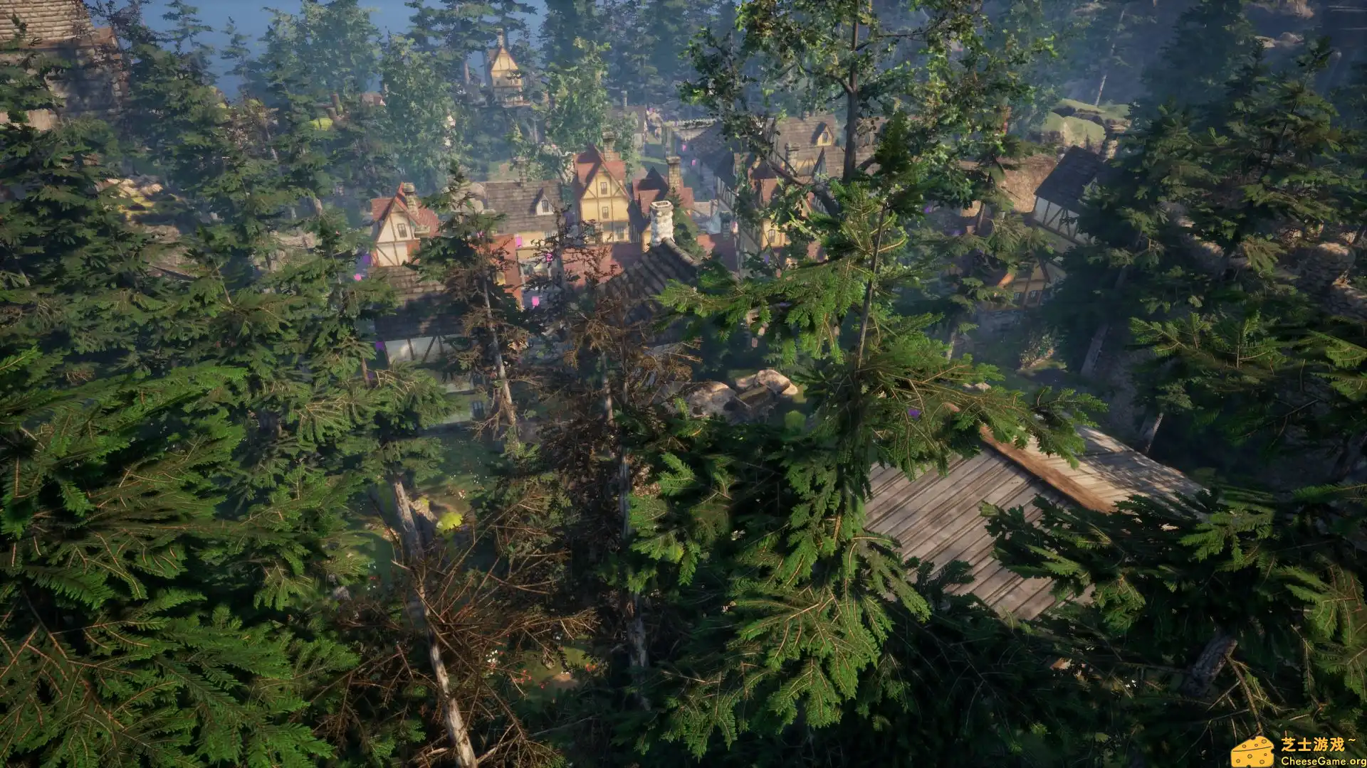 [PC]动物拯救者/Animal Rescuer