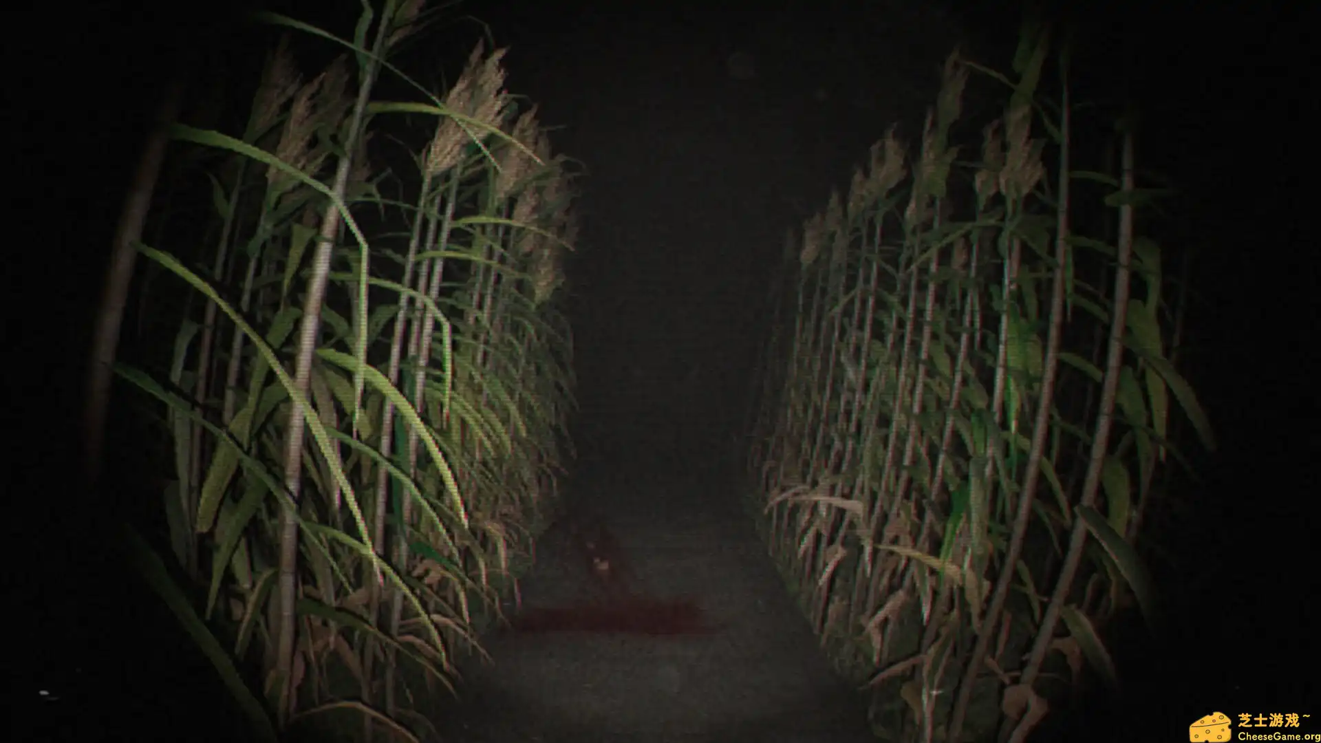 [PC]诡影实录/Unknown Tapes