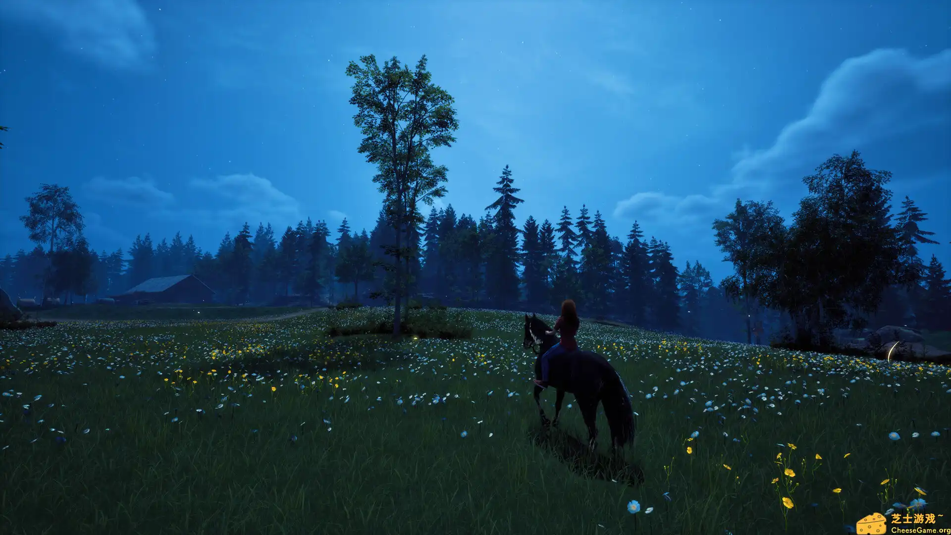 [PC]风暴：深厚友谊的开始 重制版/Windstorm: Start of a Great Friendship - Remastered