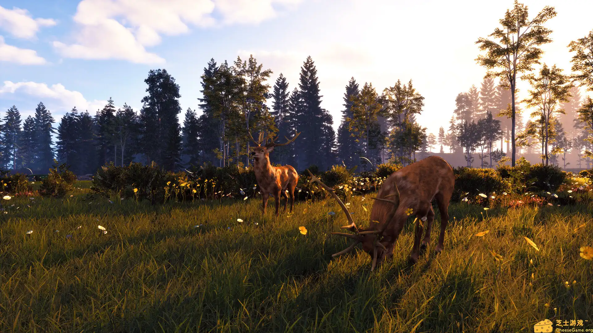 [PC]风暴：深厚友谊的开始 重制版/Windstorm: Start of a Great Friendship - Remastered