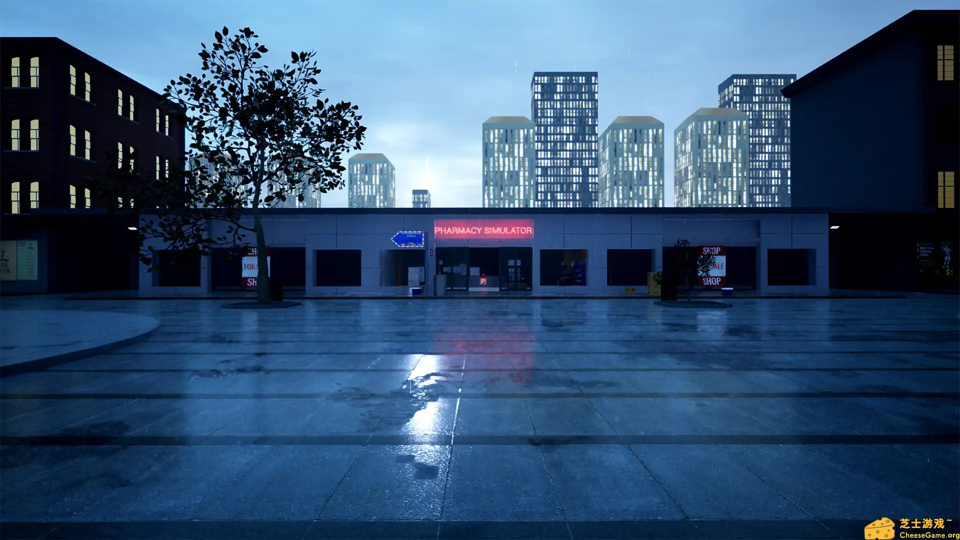 [PC]药店模拟器/Pharmacy Simulator