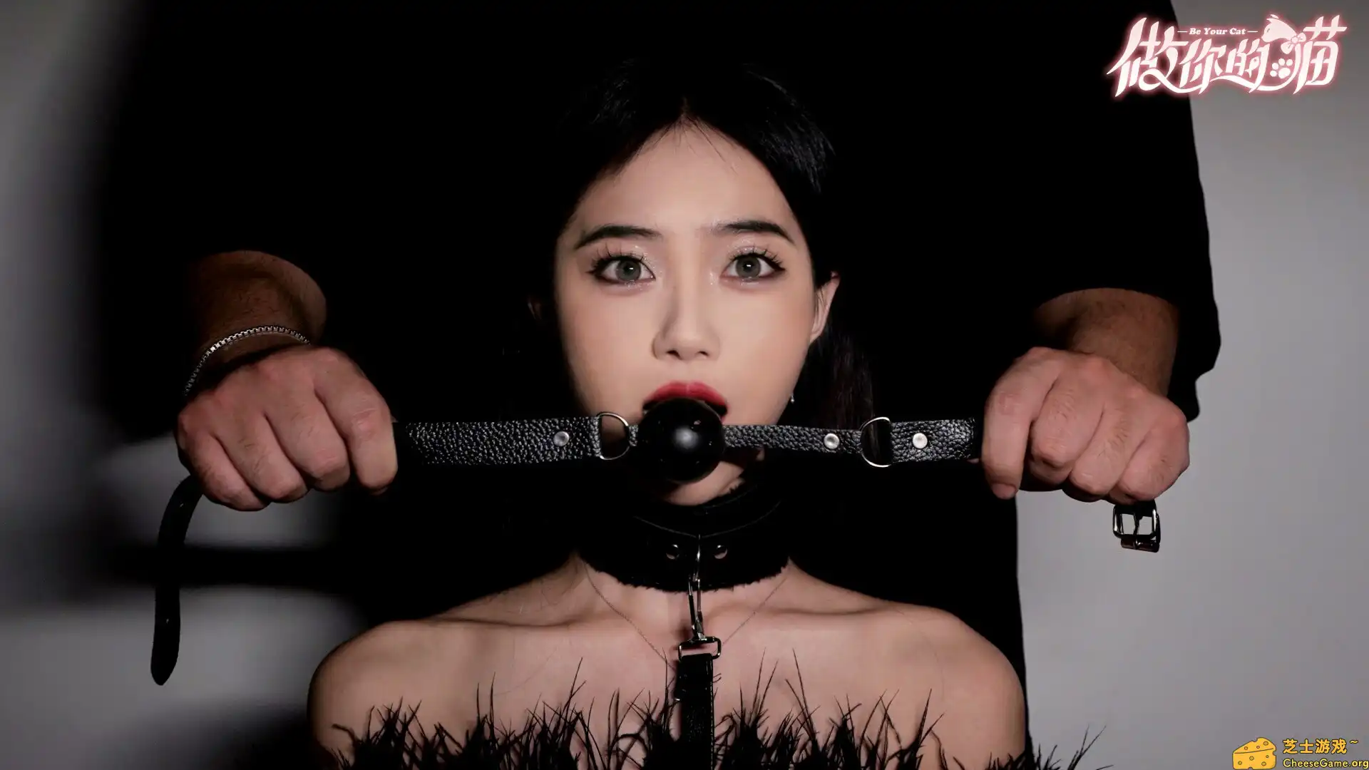 [PC]做你的猫/BeYourCat