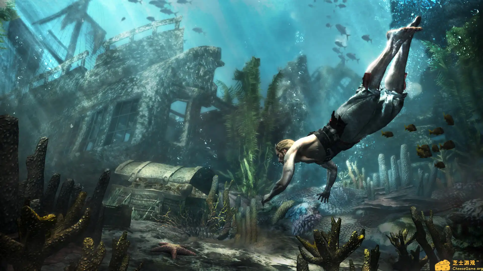 [PC]刺客信条4：黑旗/Assassin's Creed IV: Black Flag