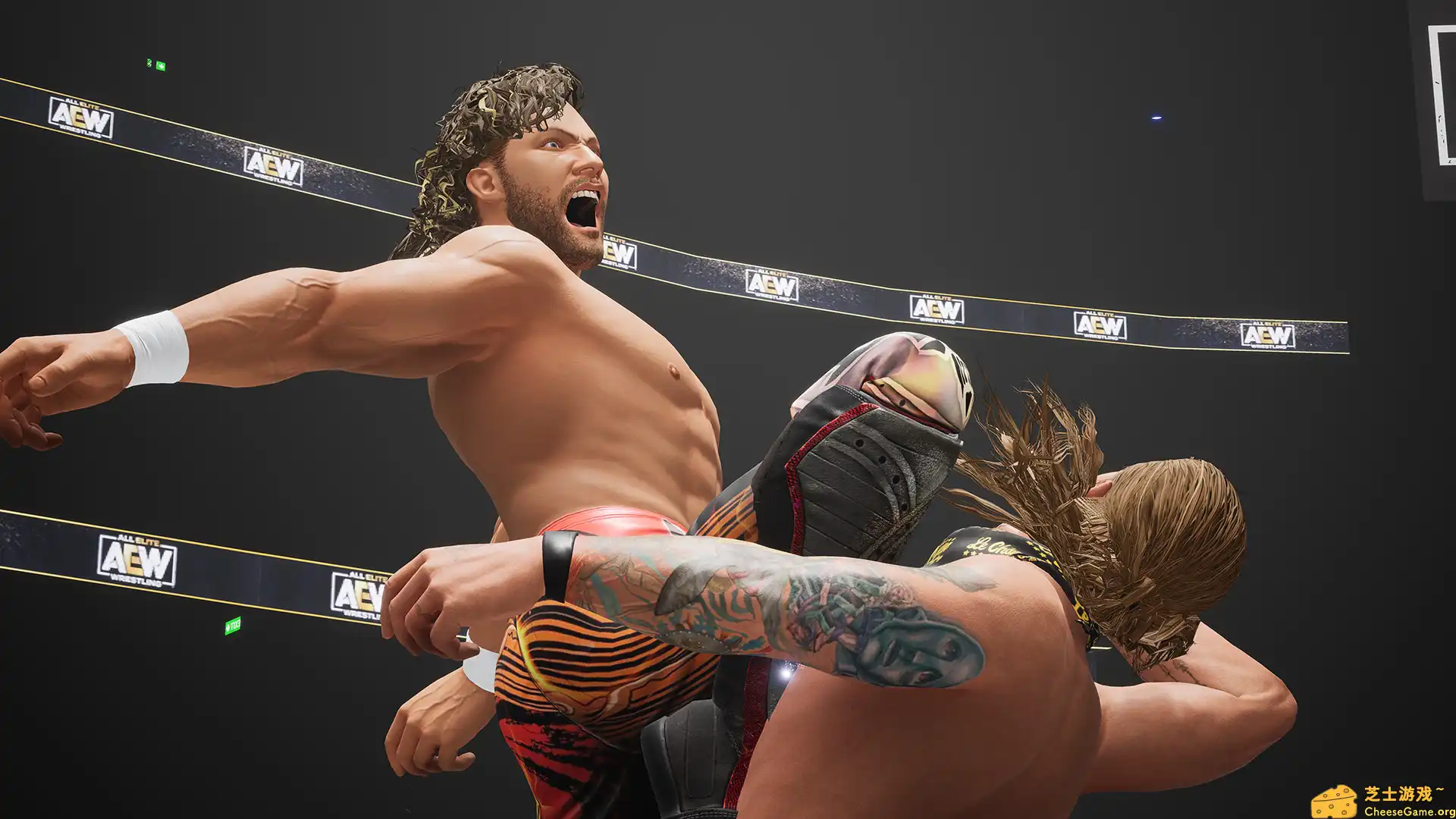 [PC]全精英摔角：永远的战斗/AEW: Fight Forever