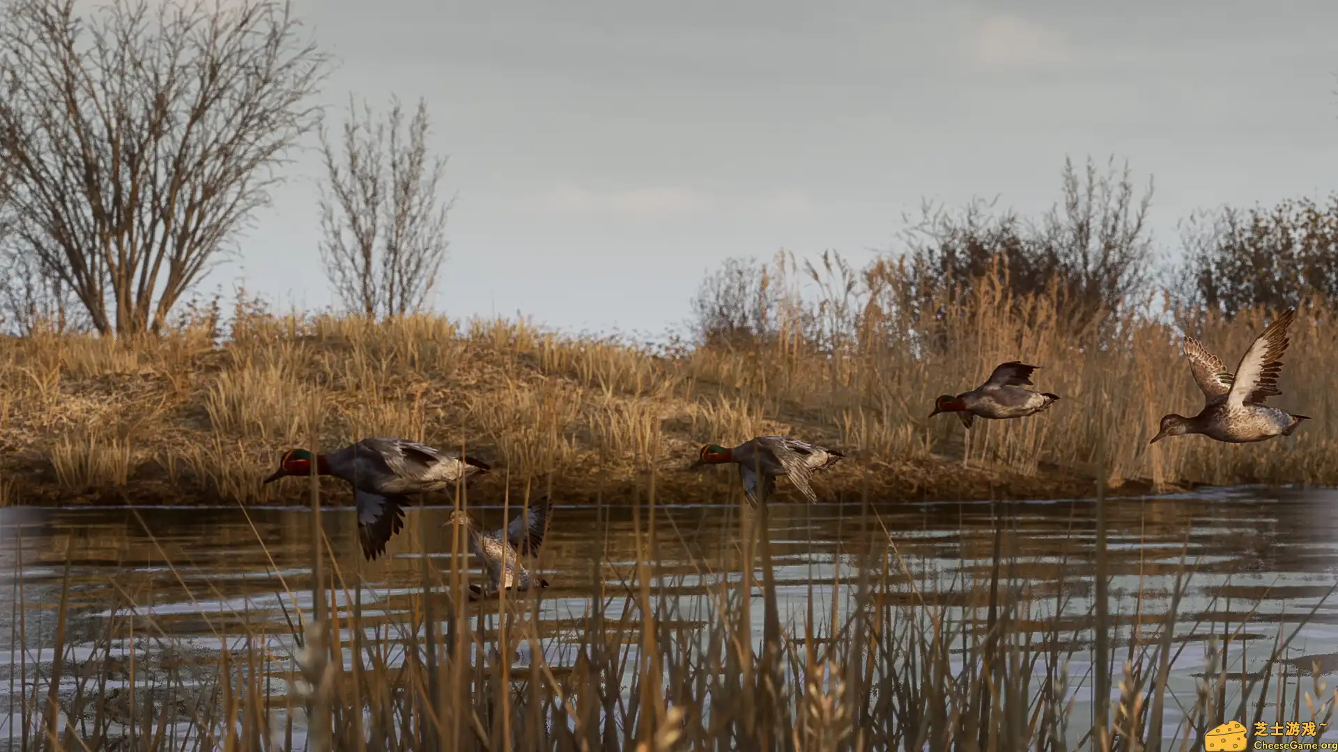 [PC]BULT：狩猎模拟器/BULT: Hunting simulator