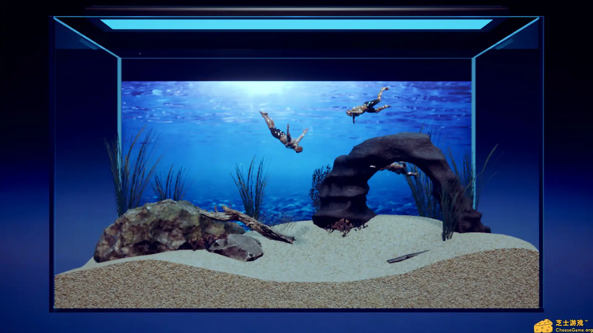 [PC]壮士水族馆 -肌肉水族馆模拟器-/Machorium -Muscle Aquarium Simulator-