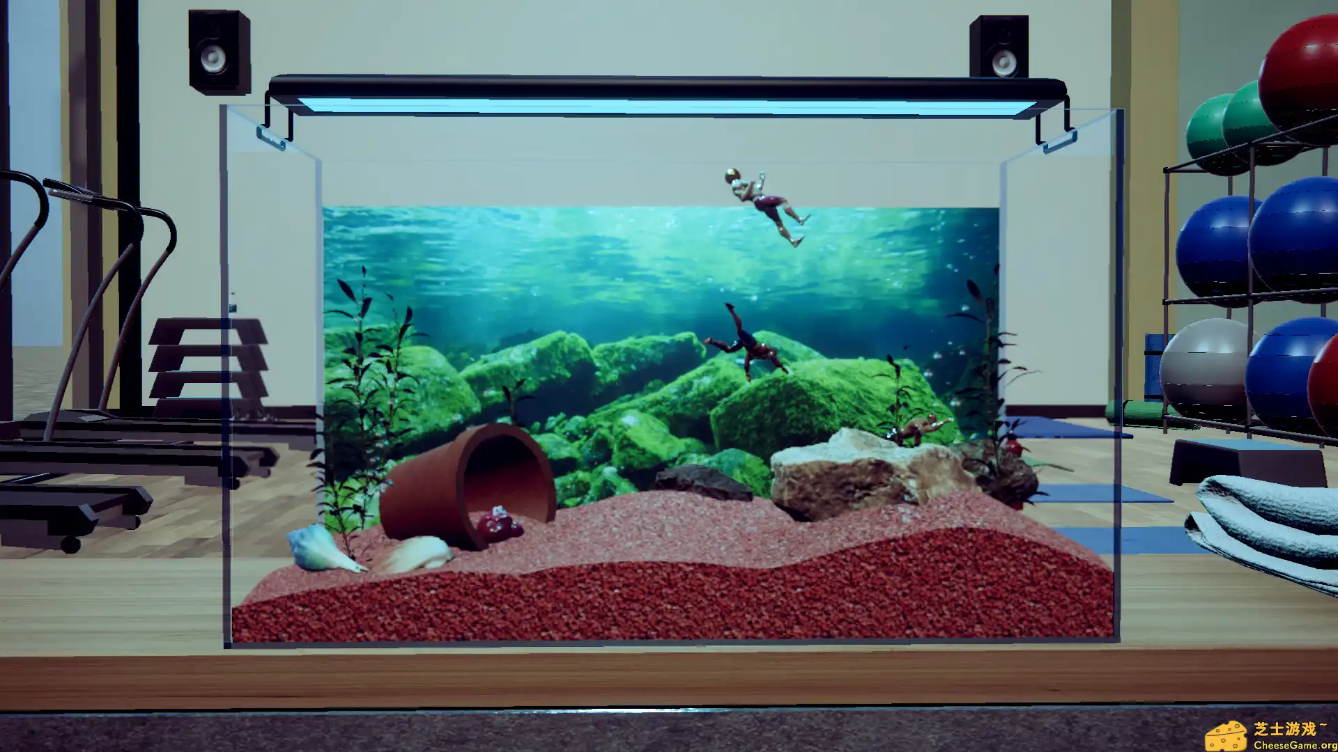 [PC]壮士水族馆 -肌肉水族馆模拟器-/Machorium -Muscle Aquarium Simulator-