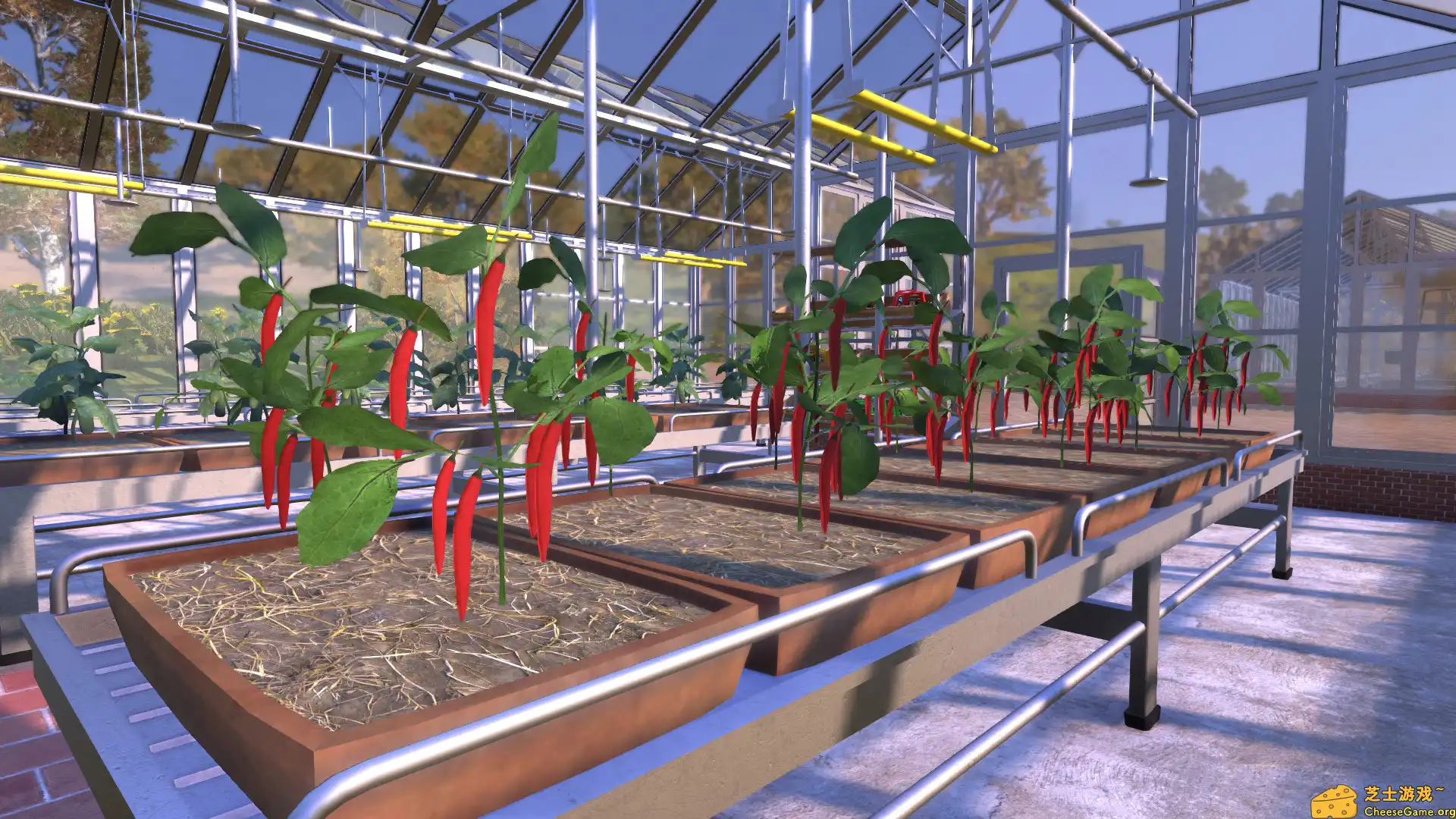 [PC]农夫王朝/Farmer's Dynasty