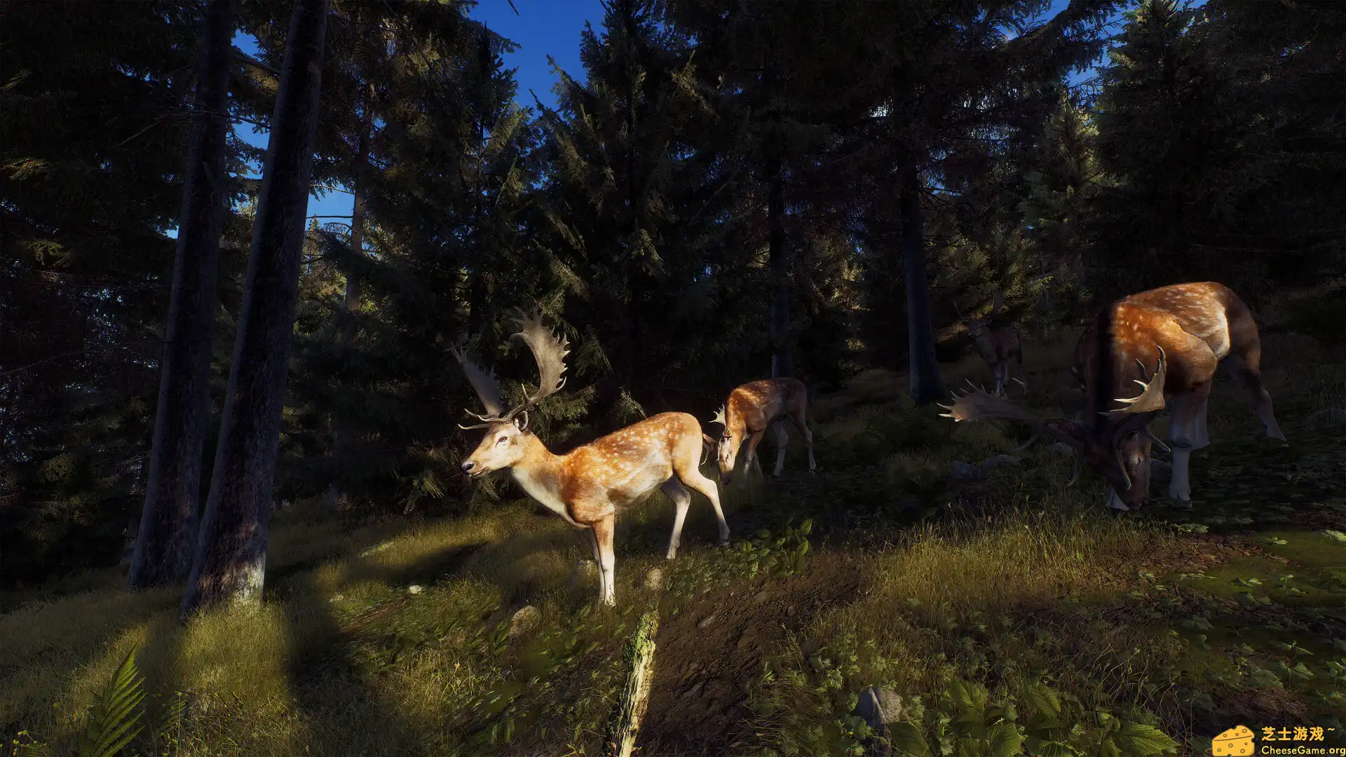 [PC]狩猎之道/猎人之路/Way of the Hunter/支持网络联机