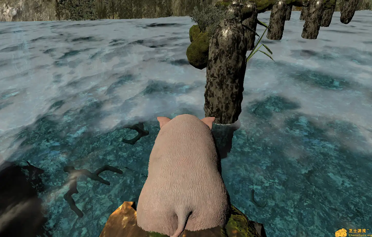 [PC]神猪/Divine Pig