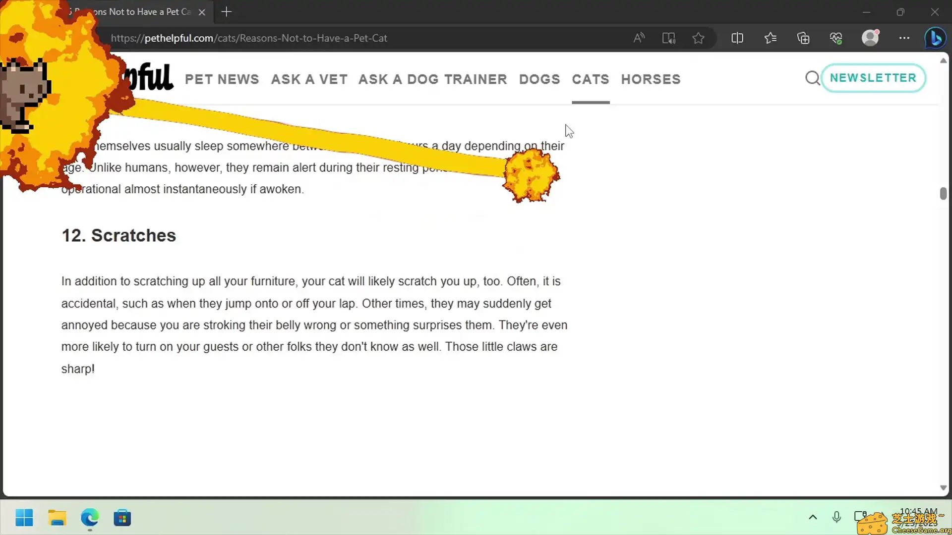 [PC]桌面宠物/Desktop Pet Project
