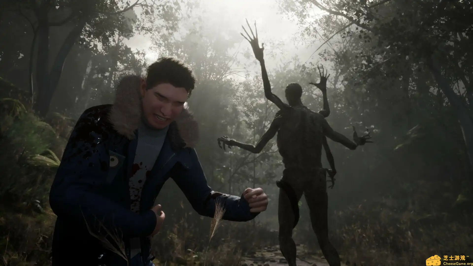 [PC]流浪之魂/Stray Souls