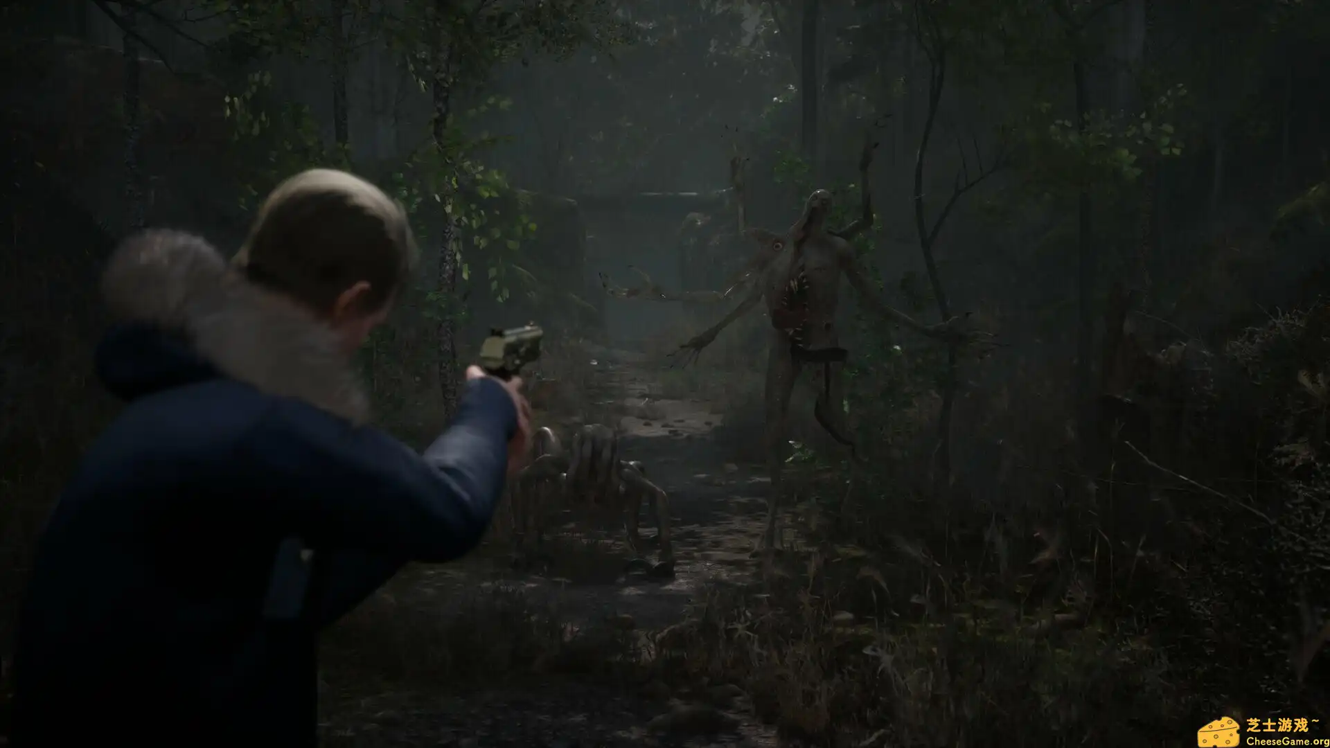 [PC]流浪之魂/Stray Souls