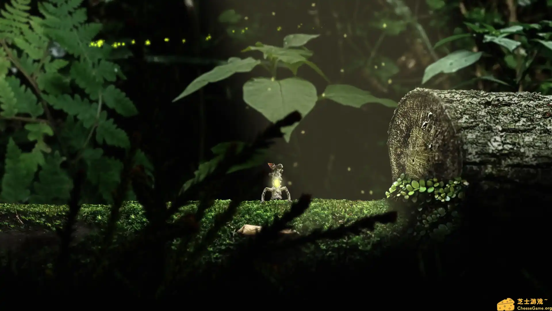 [PC]幼苗/Seedlings