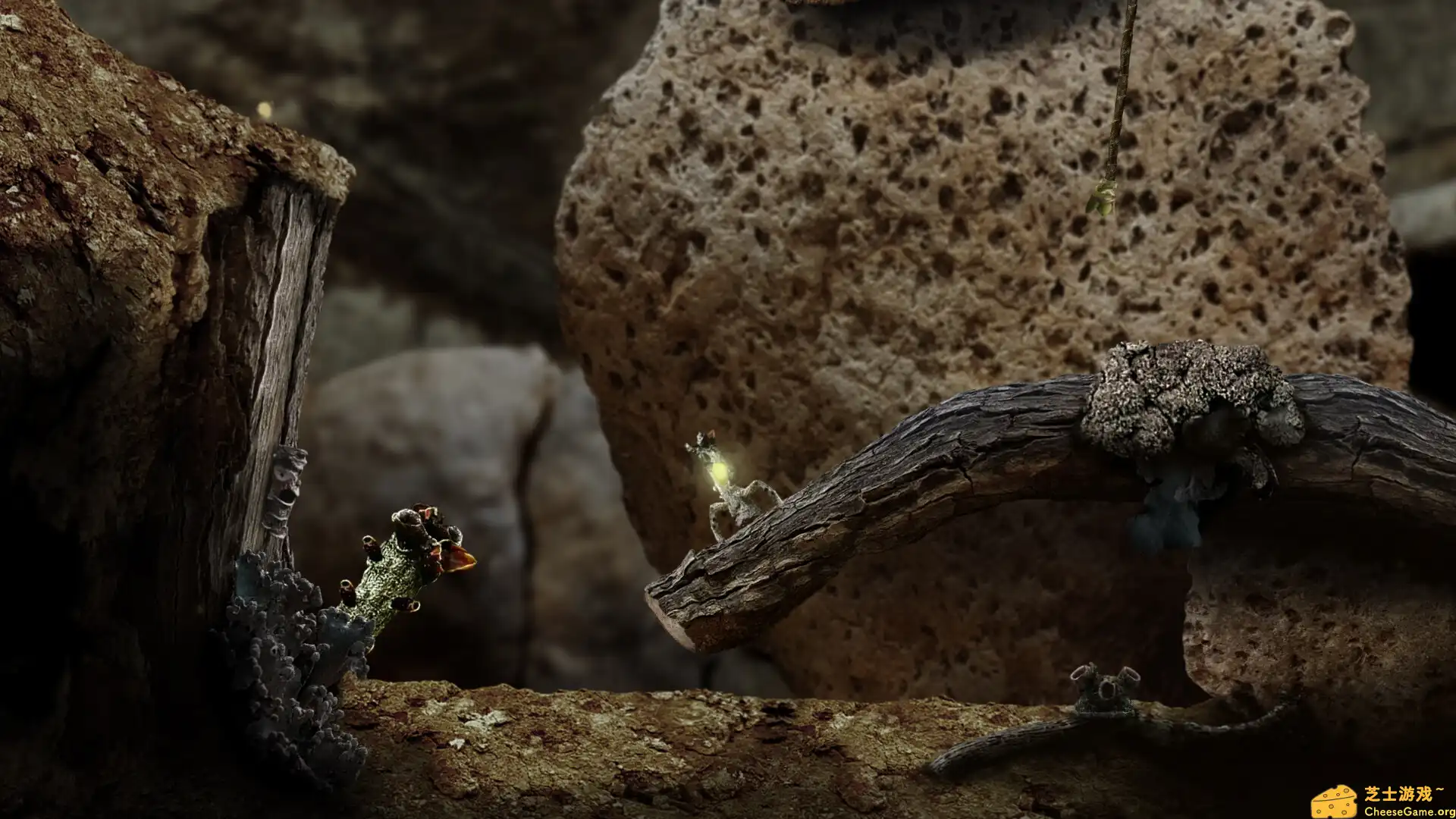 [PC]幼苗/Seedlings