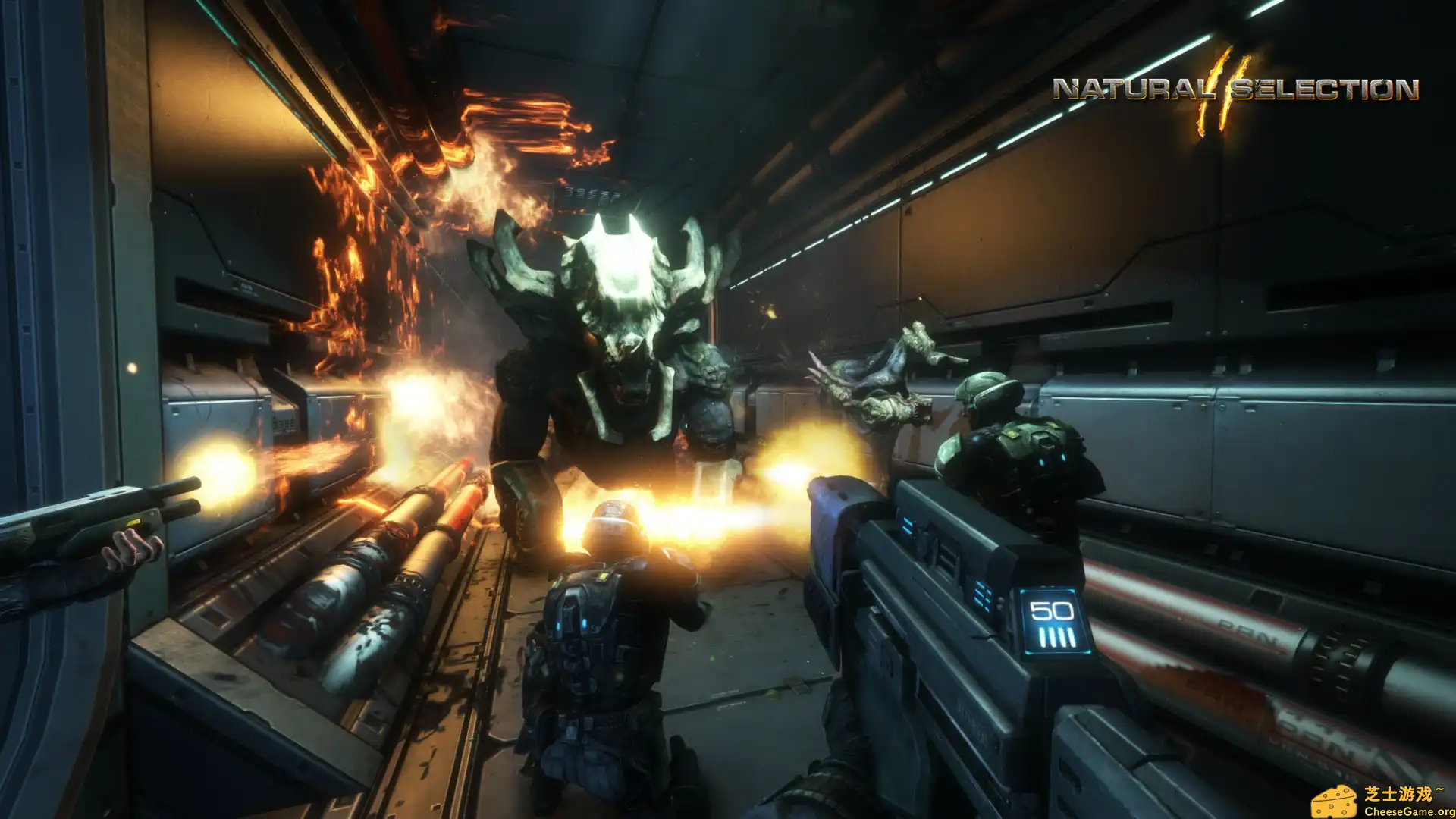 [PC]物竞天择2/Natural Selection 2