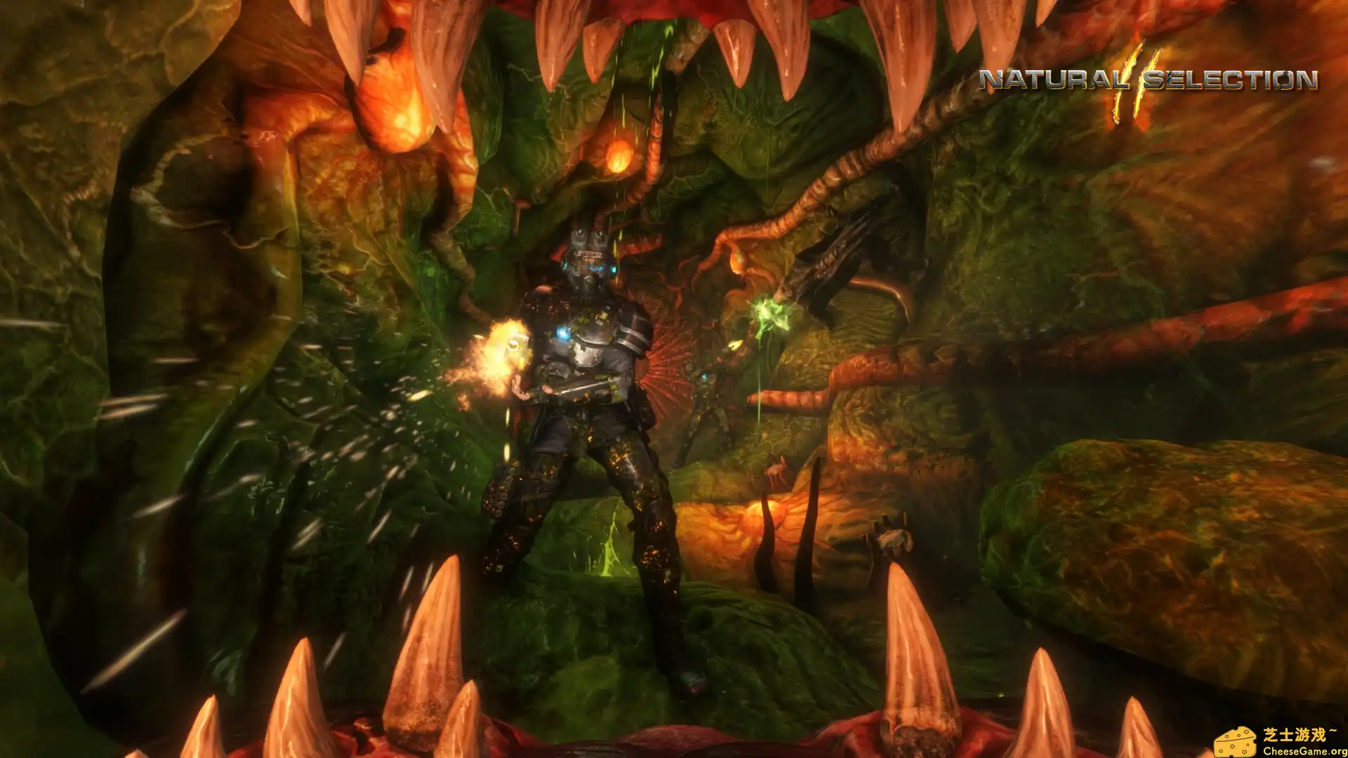 [PC]物竞天择2/Natural Selection 2