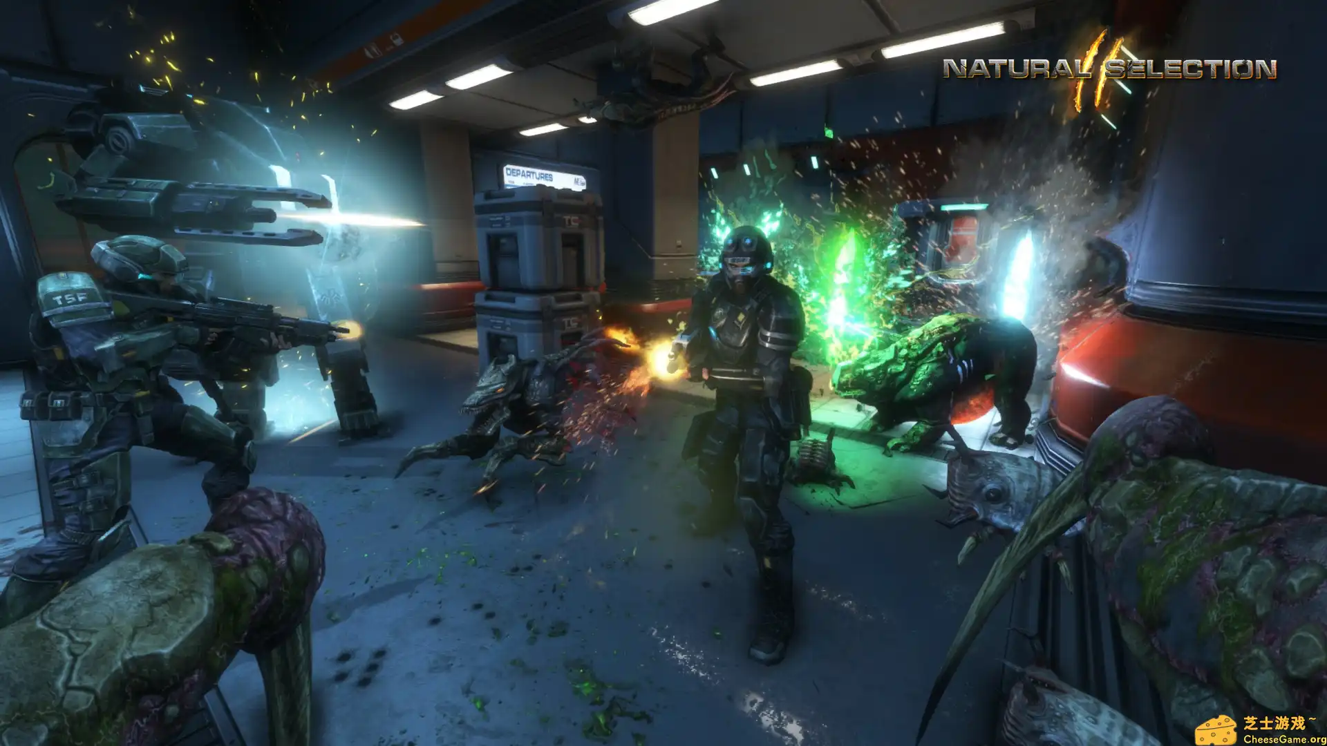 [PC]物竞天择2/Natural Selection 2