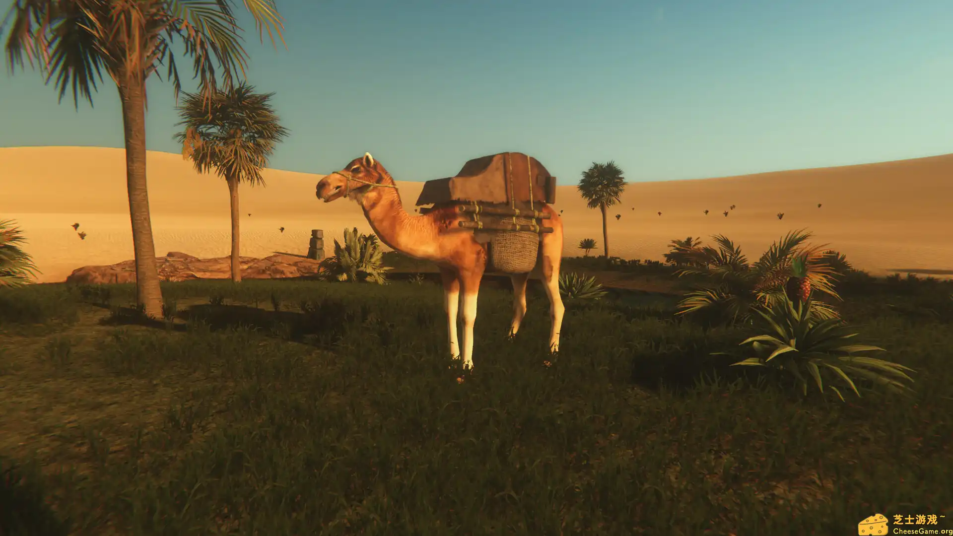 [PC]星辰沙海/Starsand