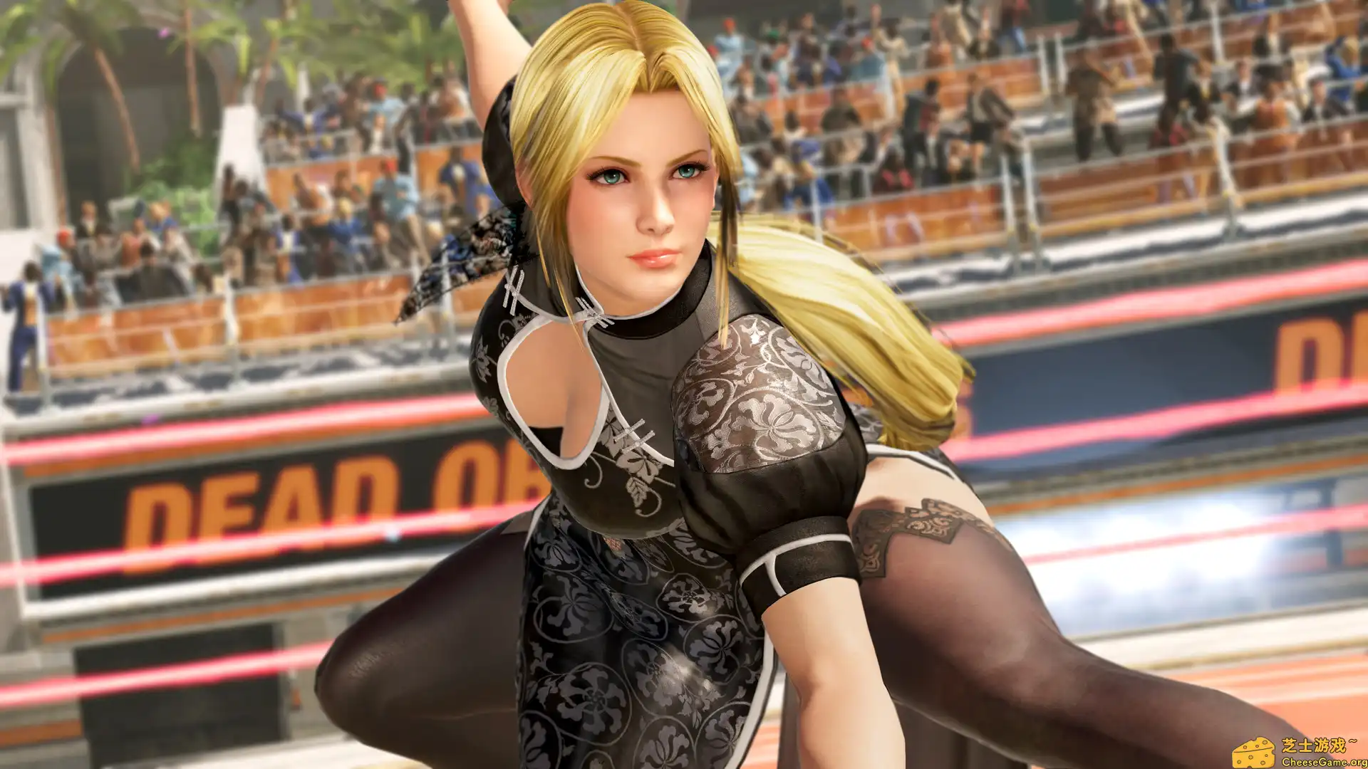 [PC]死或生6/Dead or Alive 6