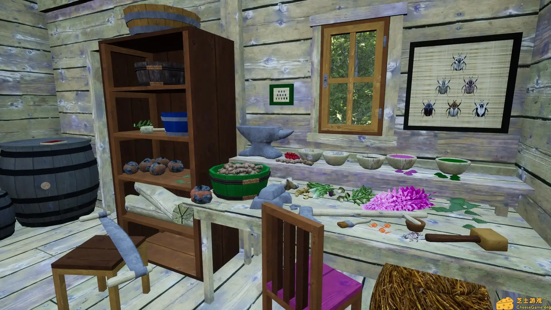 [PC]自然猎人/Nature Hunter