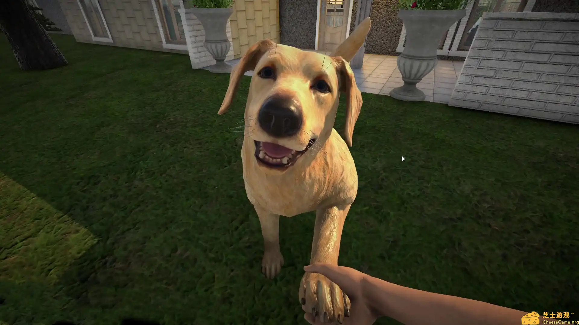 [PC]宠物旅馆/Pets Hotel