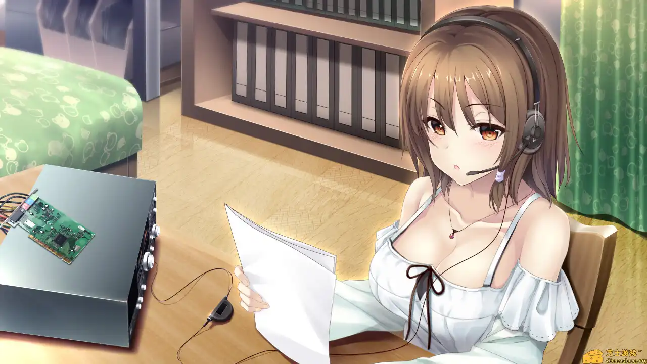 [PC]未来广播与人工鸽/The Future Radio and the Artificial Pigeons