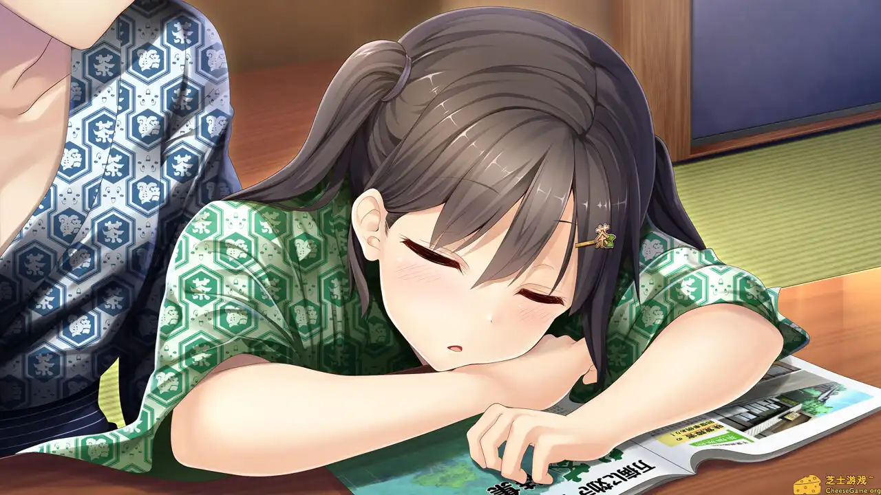 [PC]未来广播与人工鸽/The Future Radio and the Artificial Pigeons