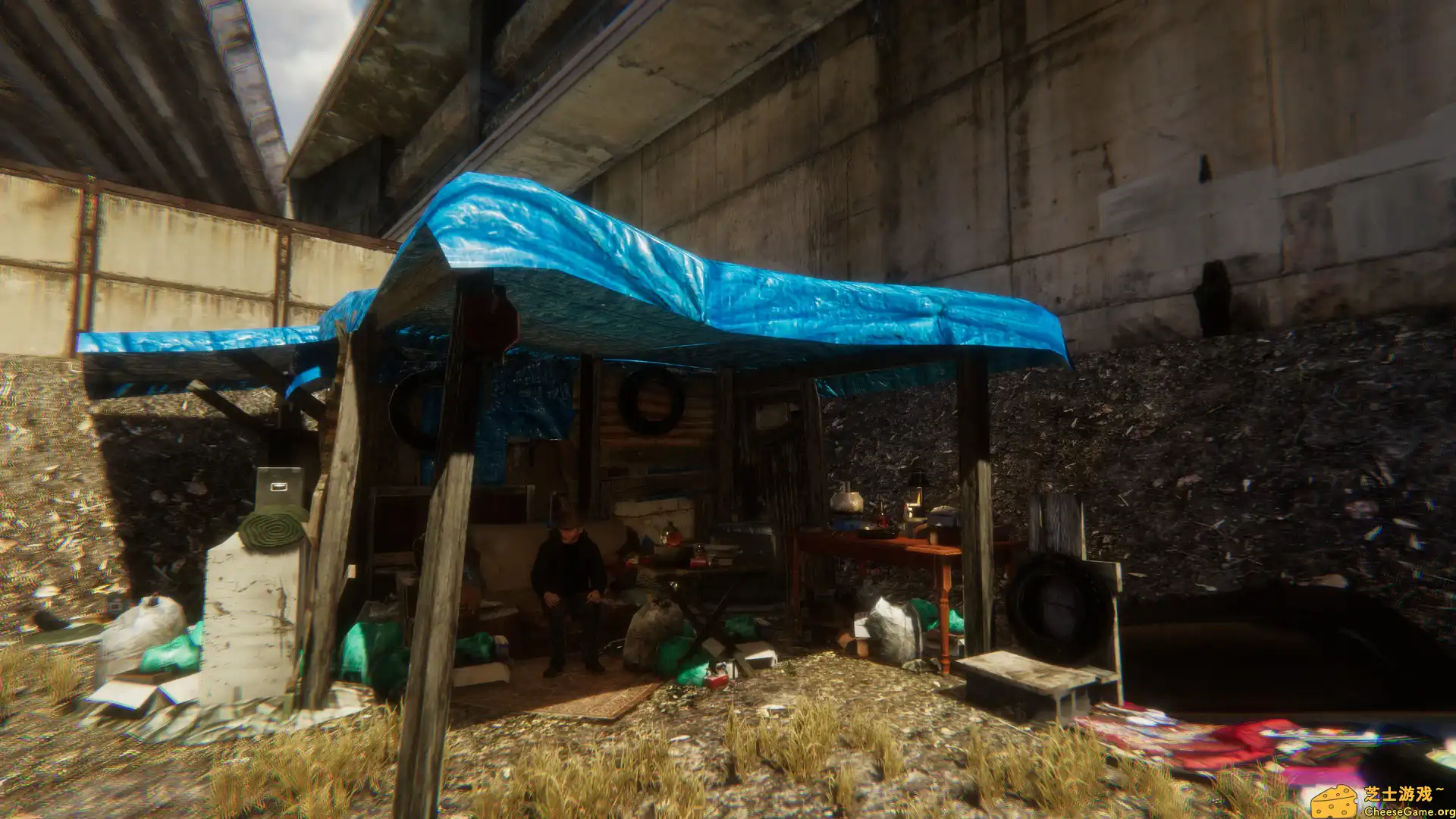 [PC]乞丐模拟器/流浪汉：艰难的生活/Hobo: Tough Life