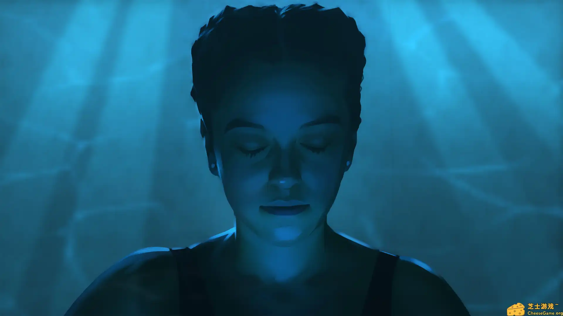 [PC]黄昏降临时/As Dusk Falls