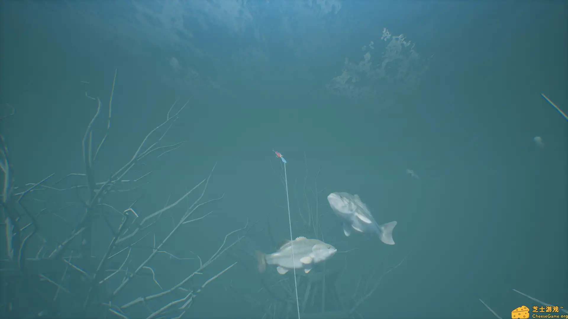 [PC]鲈鱼大师赛2022/Bassmaster Fishing 2022