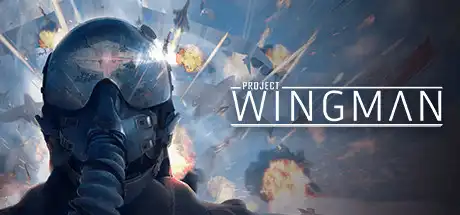 [PC]僚机计划/Project Wingman-游戏库