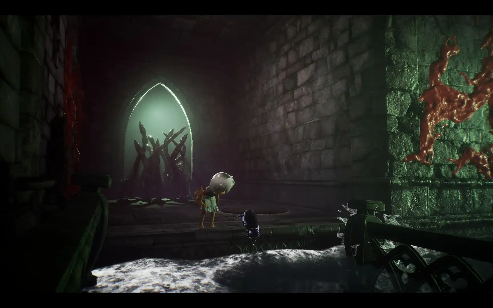 [PC]LIGHT：黑色小猫与失忆少女/LIGHT: Black Cat &amp; Amnesia Girl