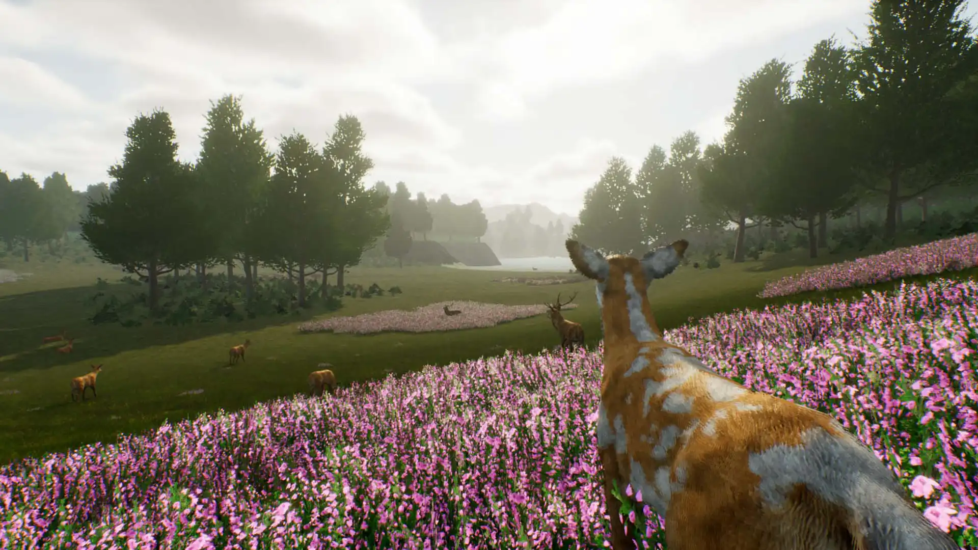 [PC]鹿之旅/Deer Journey