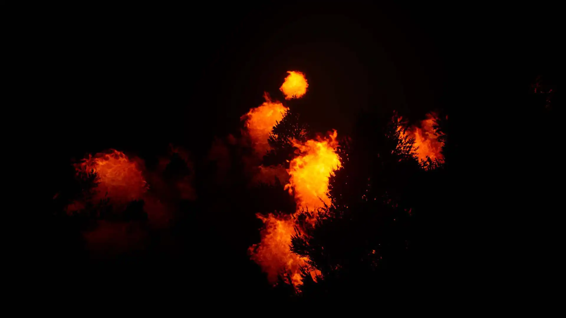 [PC]鹿之旅/Deer Journey