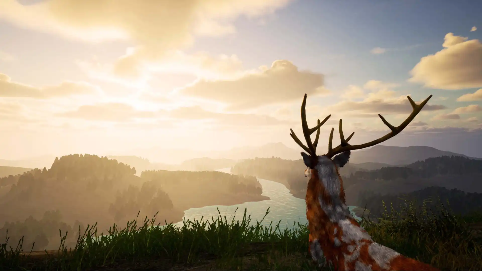 [PC]鹿之旅/Deer Journey