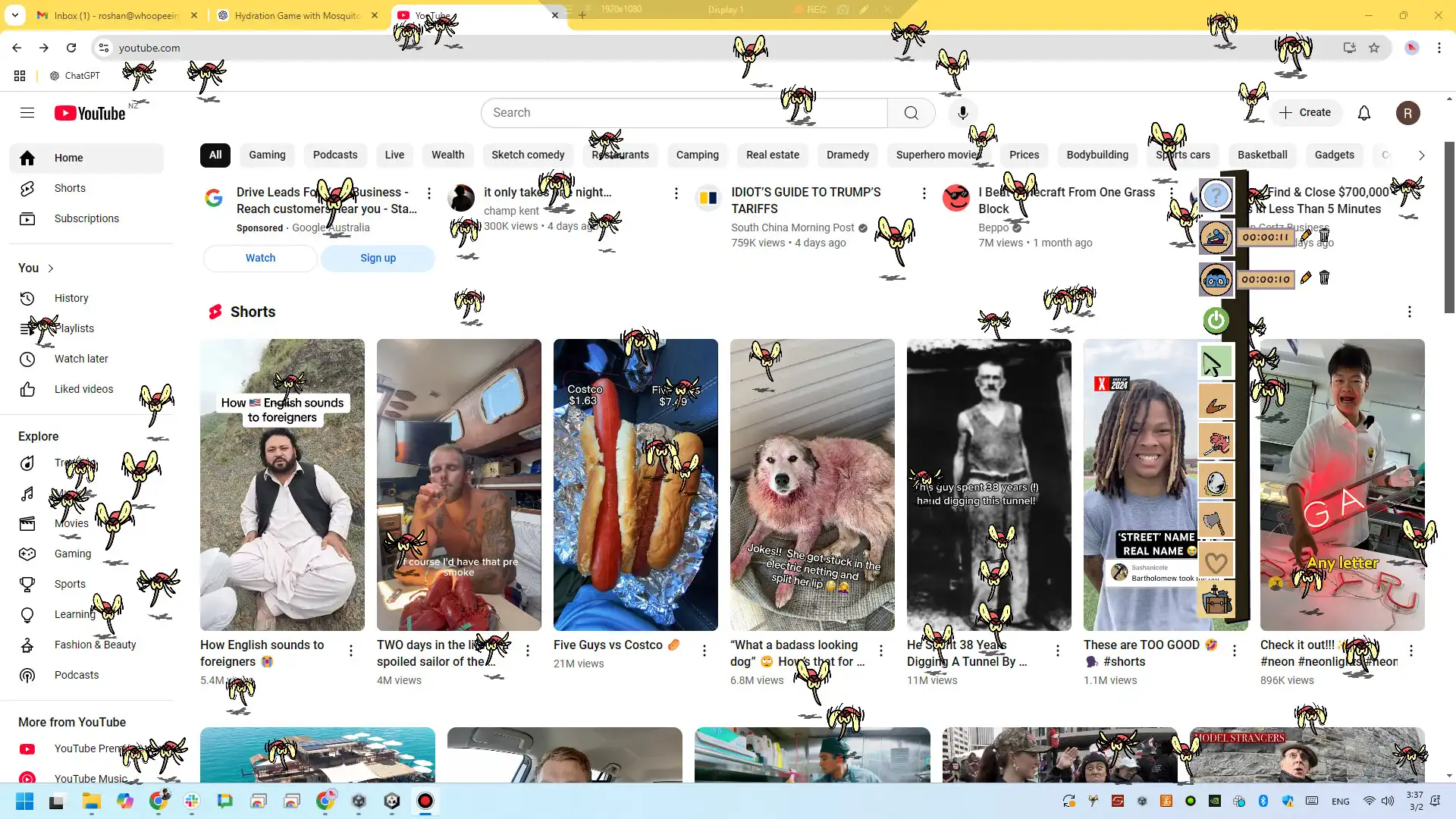 [PC]走开！/Buzz Off!