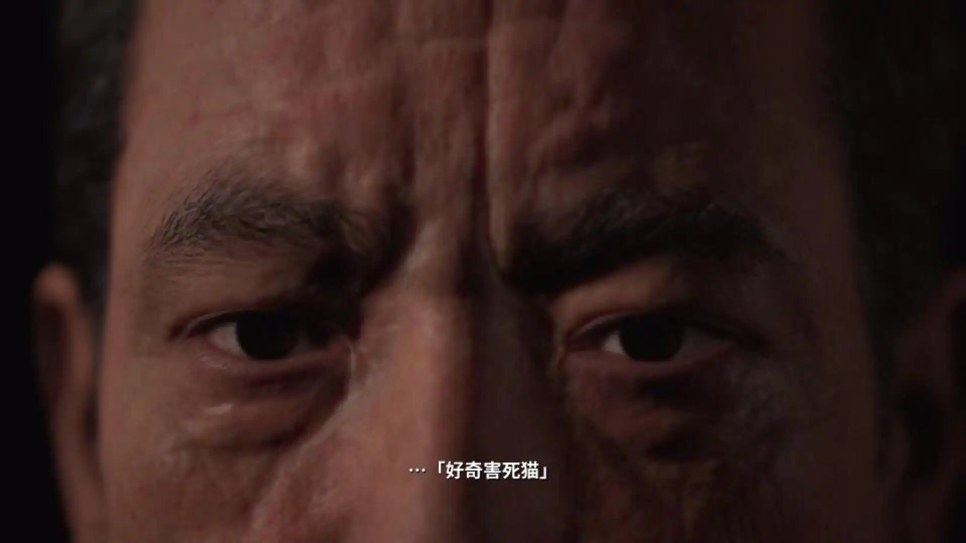 [PC]全景监视者/Panopticon