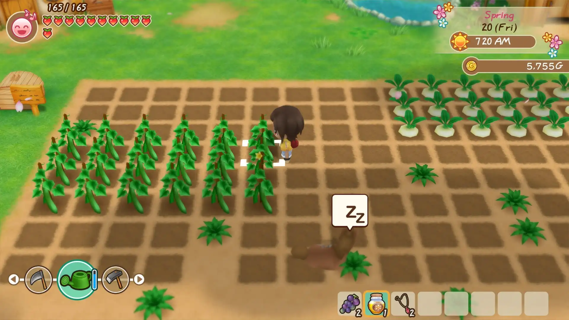 [PC]牧场物语：重聚矿石镇/STORY OF SEASONS: Friends of Mineral Town