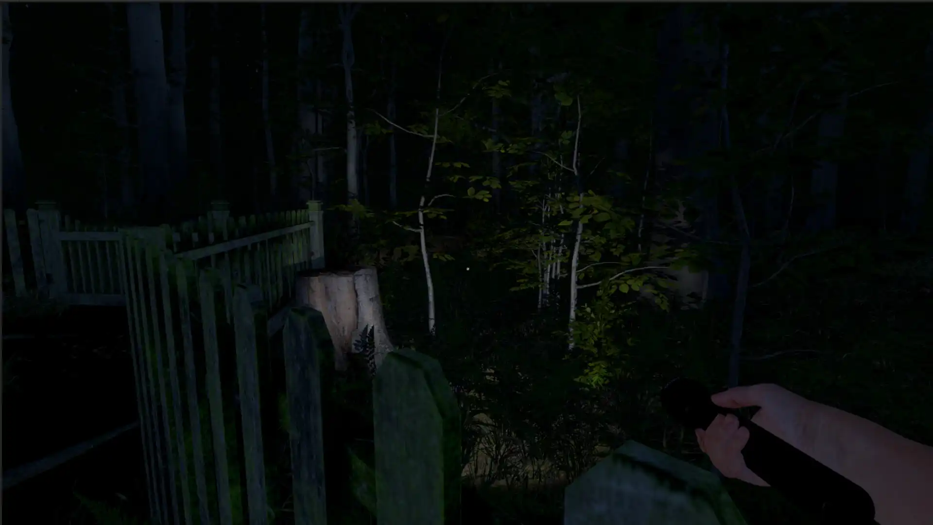 [PC]灰人：人类绑架/The Greys: Human Abductions